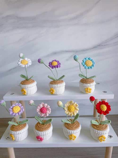 Häkel Daisy Blumen Topf Handgemachter Desk Decor Geschenk