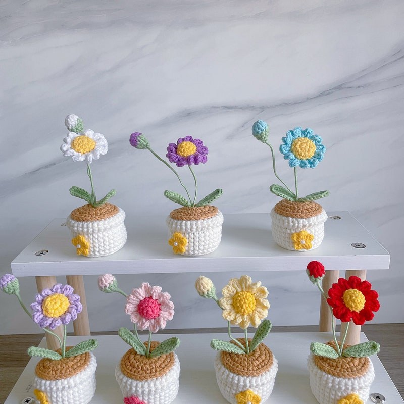 Häkel Gänseblümchen Blumen Topf Handgemachter Schreibtischdeko Geschenk