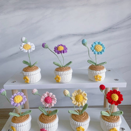 Häkel Daisy Blumen Topf Handgemachter Desk Decor Geschenk