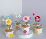 Häkel Gänseblümchen Blumen Topf Handgemachter Schreibtischdeko Geschenk
