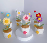 Häkel Gänseblümchen Blumen Topf Handgemachter Schreibtischdeko Geschenk