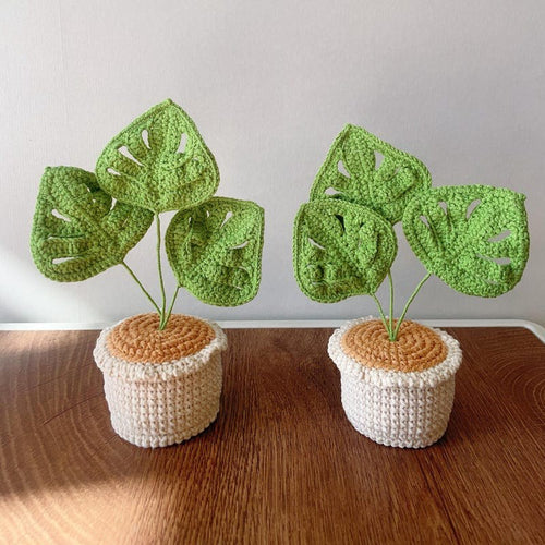 Häkel Monstera Pflanze Topf Handgemachter Desk Decoration