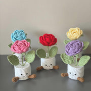 Häkelrosen Topf Rosa Lila Zarter Geschenk