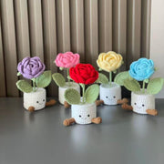 Häkelrosen Topf Rosa Lila Zarter Geschenk