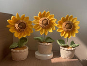 Häkel Sonnenblumen Häkelblumen Topf Gestrickter Blumen Geschenk
