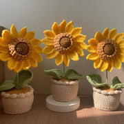 Häkel Sonnenblumen Häkelblumen Topf Gestrickter Blumen Geschenk