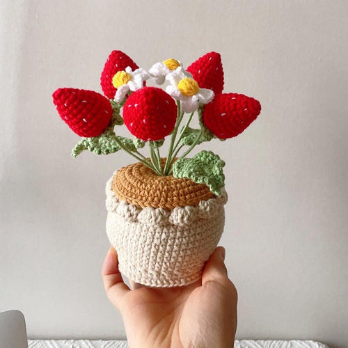 Häkel Strawberry Topf Häkelblumen Topf Geburtstag