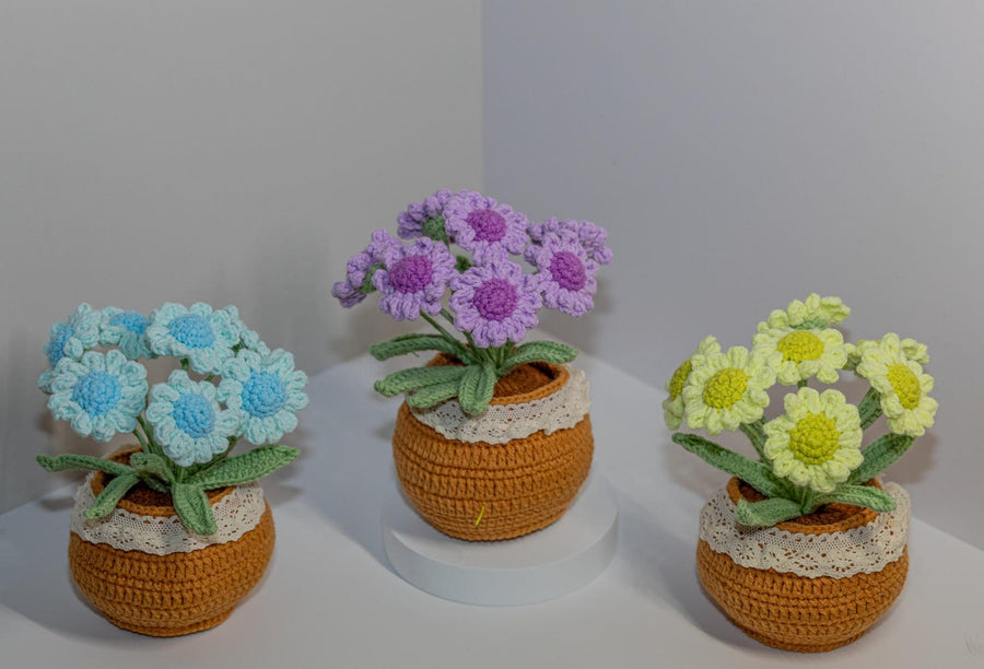 Häkelblumen Topf Häkel Gänseblümchen Blumen Zarter Häkel