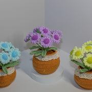 Häkelblumen Topf Häkel Gänseblümchen Blumen Zarter Häkel