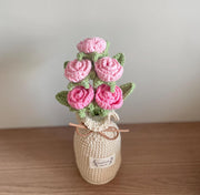 Häkelblumen Topf Häkelrosen Häkel