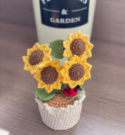 Häkelblumen Topf Häkel Sonnenblumen Abschluss Geschenk