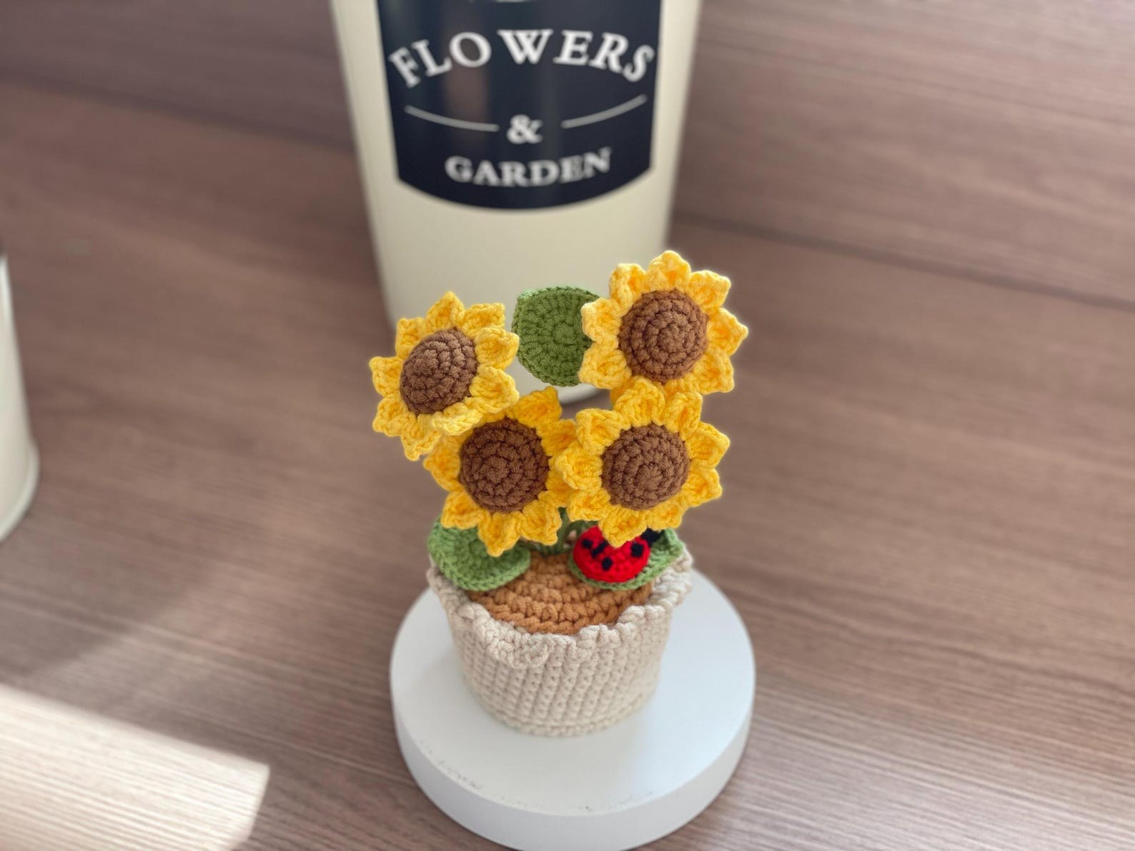 Häkelblumen Topf Häkel Sonnenblumen Abschluss Geschenk