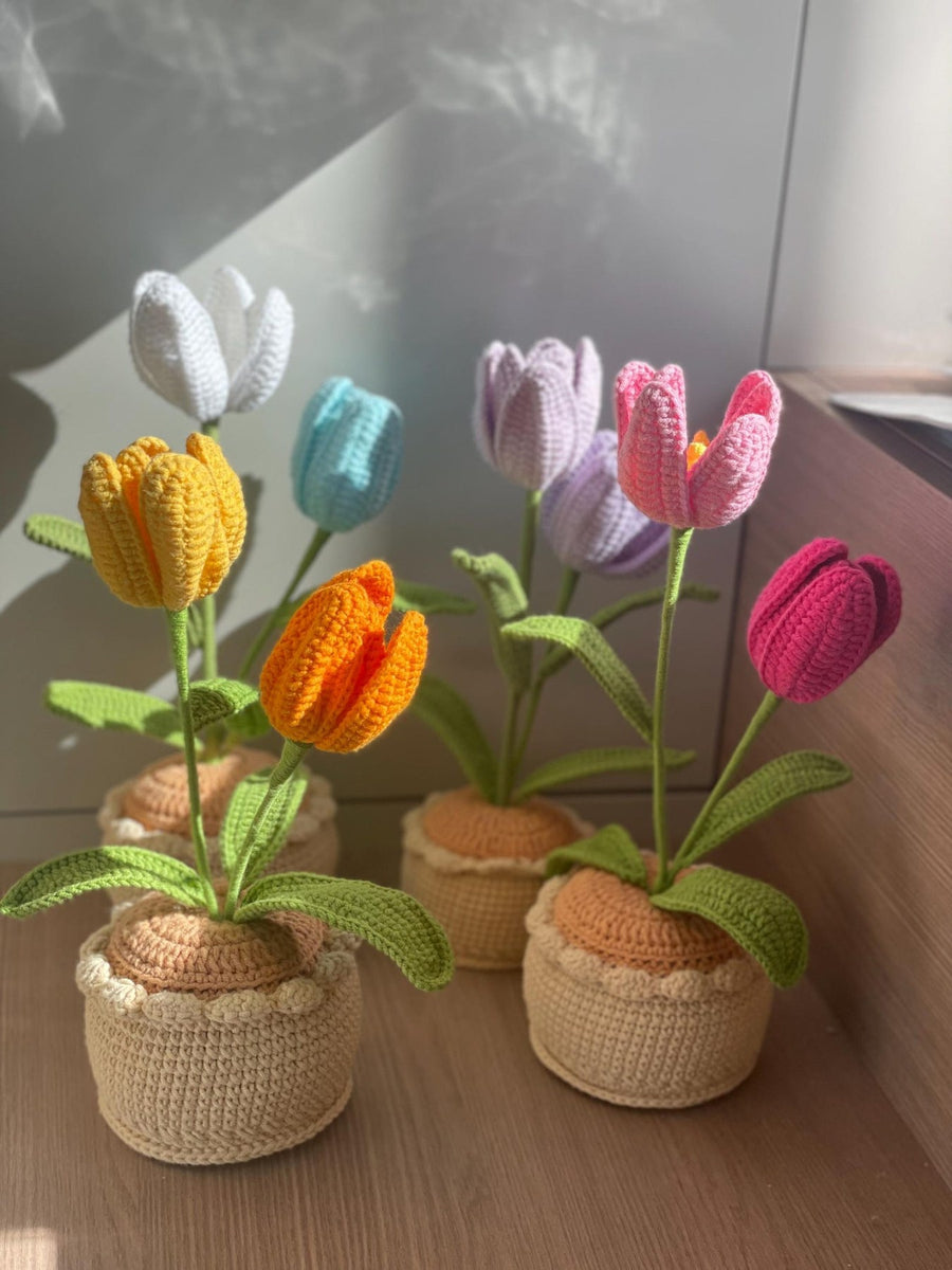 Häkelblumen Topf Häkel Tulpen Rosa Lila