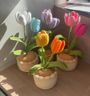 Häkelblumen Topf Häkel Tulpen Rosa Lila