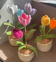 Häkelblumen Topf Häkel Tulpen Rosa Lila