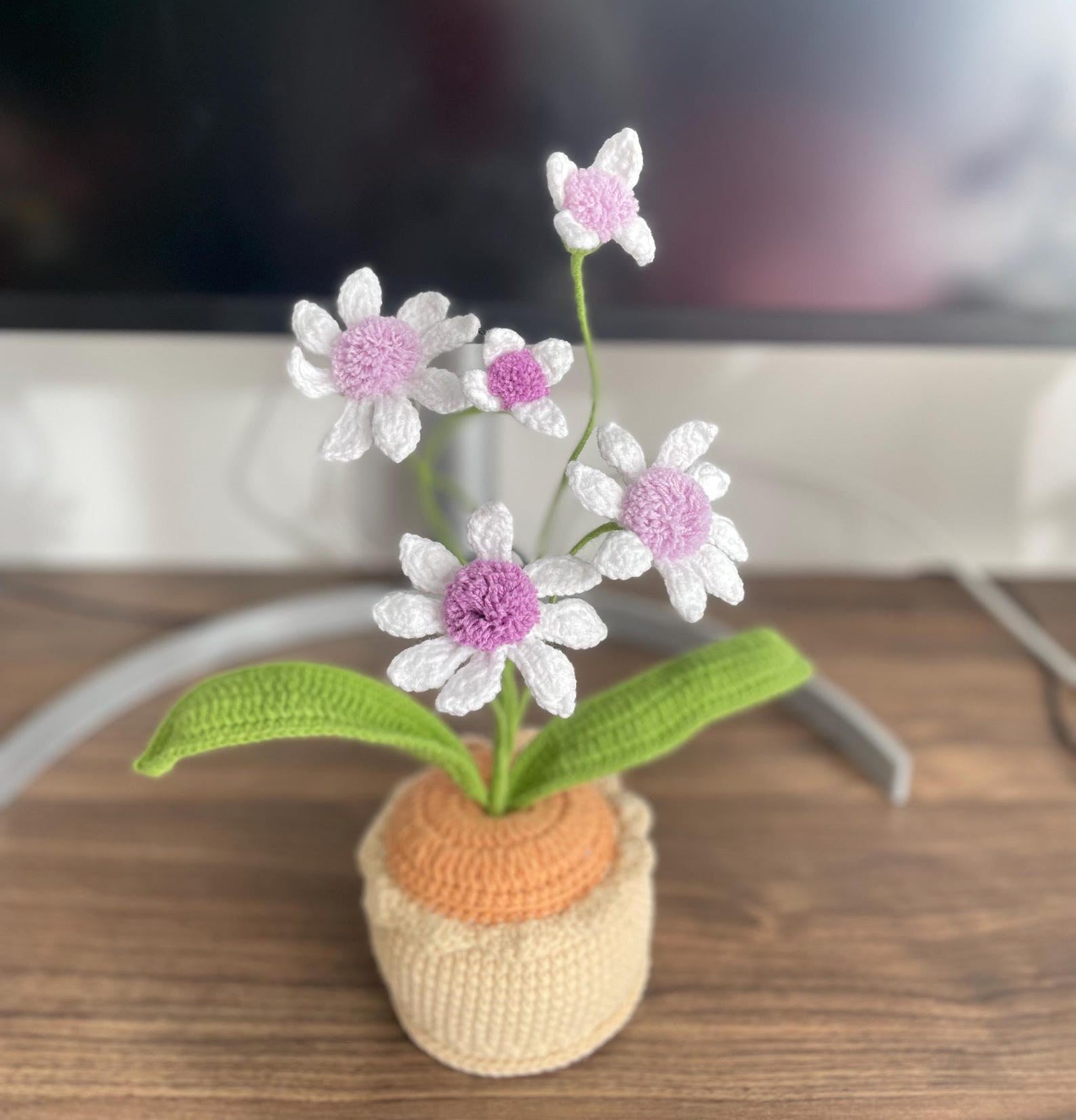 Häkelblumen Topf Handgemachter Geschenk für Mama