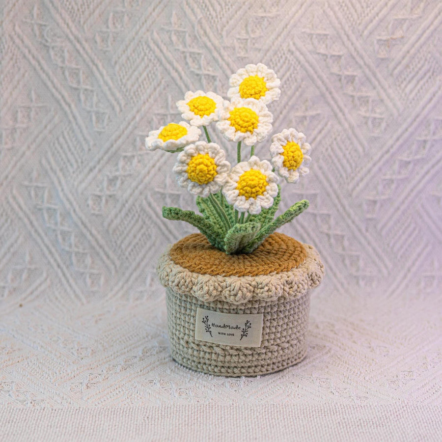 Handgemachter Häkel Gänseblümchen Blumen Topf