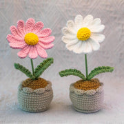 Handgemachter Häkel Gänseblümchen Blumen Topf Baumwoll Strauß