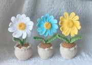 Handgemachter Häkel Gänseblümchen Blumen Topf Baumwoll Strauß