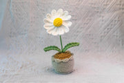 Handgemachter Häkel Gänseblümchen Blumen Topf Baumwoll Strauß