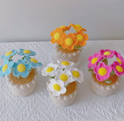 Handgemachter Häkel Gänseblümchen Blumen Topf Personalisiertes Geschenk
