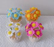Handgemachter Häkel Gänseblümchen Blumen Topf Personalisiertes Geschenk