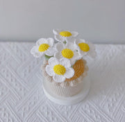 Handgemachter Häkel Gänseblümchen Blumen Topf Personalisiertes Geschenk