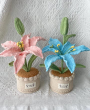 Handgemachter Häkel Lilien Blumen Topf