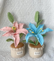 Handgemachter Häkel Lilien Blumen Topf