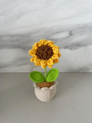 Handgemachter Häkel Sonnenblumen Topf Einzigartiger Häkel Geschenk