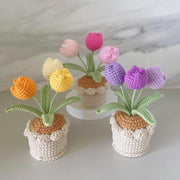 Handgemachter Häkel Tulpen Blumen Topf Rosa Lila Oranger